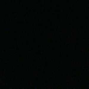 Meet your Posher, Julissa